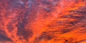 Beitragsbild des Blogbeitrags Management 4 SharePoint unsere Lösung für viele Listen- und Ordnerberechtigungen