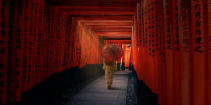 Beitragsbild des Blogbeitrags A Haiku a day …