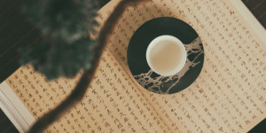 Beitragsbild des Blogbeitrags Zeichnen gegen Schreibflauten: Tipps von Amy Tan