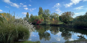 Beitragsbild des Blogbeitrags 12 von 12 im Oktober