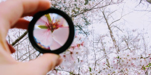 Beitragsbild des Blogbeitrags Erfahrungsbericht zum Microfiction-Workshop