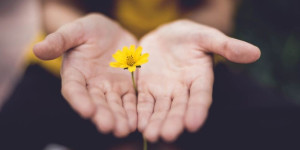 Beitragsbild des Blogbeitrags Wie geht wertschätzendes Textfeedback?