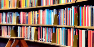 Beitragsbild des Blogbeitrags Basics | Was ist ein ätherisches Öl?