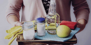 Beitragsbild des Blogbeitrags Zitrone | stimmungshebend & reinigend > Haushalt ohne Chemie 