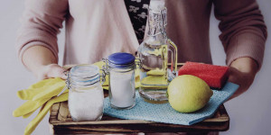 Beitragsbild des Blogbeitrags Zitrone | stimmungshebend & reinigend > Haushalt ohne Chemie