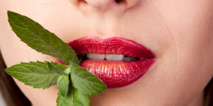 Beitragsbild des Blogbeitrags Pepperminze ätherisches Öl – A bis Z