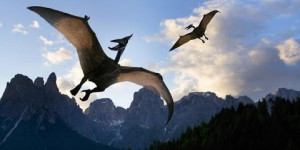 Beitragsbild des Blogbeitrags Unterschied zwischen Dragon, Accelerated Dragon und Hyperaccelerated Dragon 