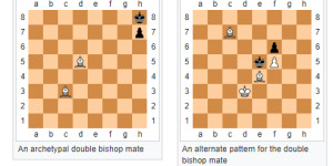 Beitragsbild des Blogbeitrags Schachmattmuster 6 – Doppelläufer Matt