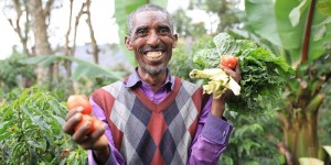 Beitragsbild des Blogbeitrags Lebensretter Gemüse | Projektgeschichten Äthiopien | Menschen für Menschen 