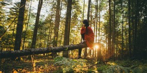 Beitragsbild des Blogbeitrags Waldbaden – CulumNATURA