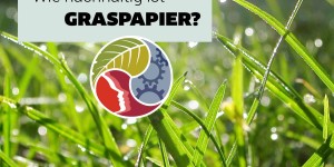 Beitragsbild des Blogbeitrags Gras statt Holz 