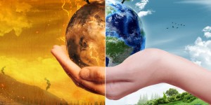 Beitragsbild des Blogbeitrags Sustainabilitiy – Eine Hand wäscht die andere