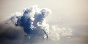 Beitragsbild des Blogbeitrags Klimawette zum Mitmachen: vermeiden, kompensieren, weitersagen