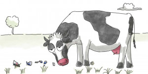 Beitragsbild des Blogbeitrags Red Bull Dosen in der Natur verleihen Flügel!