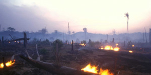 Beitragsbild des Blogbeitrags EU-Mercosur: Voran in die (Klima-)Krise