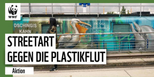 Beitragsbild des Blogbeitrags Super Aktion! Streetartkunst gegen die Plastikflut. | WWF Deutschland
