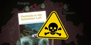 Beitragsbild des Blogbeitrags Erschreckende Resultate aus der Schweiz: massive Pestizid-Belastung | Greenpeace Schweiz