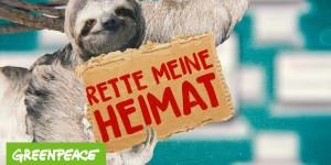 Beitragsbild des Blogbeitrags Lotti und die Fleischindustrie | Greenpeace Deutschland