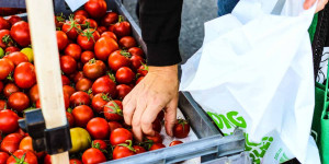 Beitragsbild des Blogbeitrags Kompost & Biogas Verband wirbt für zertifiziertes Bio-Kreislauf-Sackerl