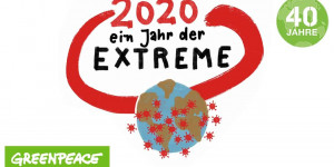 Beitragsbild des Blogbeitrags 2020 – Ein Jahr der Extreme | Greenpeace Deutschland