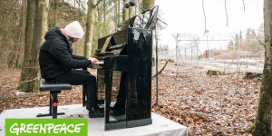 Beitragsbild des Blogbeitrags Pianist Igor Levit spielt im Dannenröder Wald | Greenpeace Deutschland
