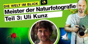 Beitragsbild des Blogbeitrags Meister der Naturfotografie: @Uli Kunz