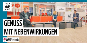 Beitragsbild des Blogbeitrags Genuss mit Nebenwirkungen – #WWFthink Folge 3 | WWF Deutschland 