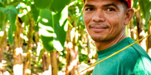 Beitragsbild des Blogbeitrags Wichtiger Fortschritt für Beschäftigte auf FAIRTRADE-Bananenplantagen 