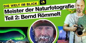 Beitragsbild des Blogbeitrags Meister der Naturfotografie (2): Bernd Römmelt  
