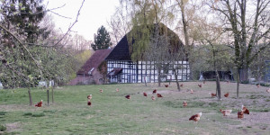 Beitragsbild des Blogbeitrags Ratgeber: Grüner leben nebenbei