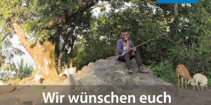 Beitragsbild des Blogbeitrags Ochs und Esel und ein freundlicher Hirte mit seinen Schafen 