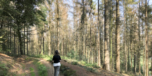 Beitragsbild des Blogbeitrags Für Morgen: Dem Klima etwas zurück geben