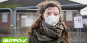 Beitragsbild des Blogbeitrags Jahrtausende alte Kultur vernichten? | Greenpeace Deutschland