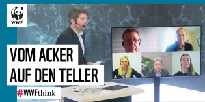 Beitragsbild des Blogbeitrags Vom Acker auf den Teller – #WWFthink Folge 4 | WWF Deutschland