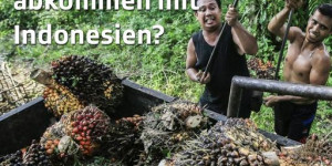 Beitragsbild des Blogbeitrags Als der Volkswirtschaftsminister Guy Parmelin im Dezember für das Freihandelsabkommen
