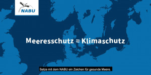 Beitragsbild des Blogbeitrags Marine Raumordnung: Meere in der Klimakrise | Naturschutzbund Deutschland