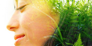Beitragsbild des Blogbeitrags Denk mal „out of the box”! Mehr Natur, mehr Pflanzen, mehr Balance, mehr Wohlbefinden