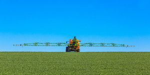Beitragsbild des Blogbeitrags Politisches Versagen: Glyphosat soll in Landwirtschaft erlaubt bleiben