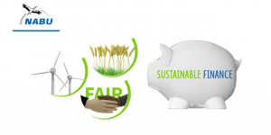 Beitragsbild des Blogbeitrags Was ist Sustainable Finance? | Naturschutzbund Deutschland 