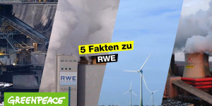 Beitragsbild des Blogbeitrags Was du über RWE wissen musst | Greenpeace Deutschland 