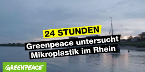 Beitragsbild des Blogbeitrags Nicht sauber, sondern Rhein! | Greenpeace Deutschland 