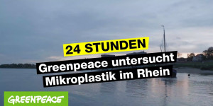 Beitragsbild des Blogbeitrags Nicht sauber, sondern Rhein! | Greenpeace Deutschland