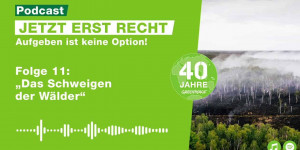 Beitragsbild des Blogbeitrags Folge 11: Das Schweigen der Wälder | Greenpeace Deutschland
