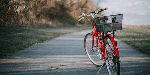 Beitragsbild des Blogbeitrags Mobilität per Bike nimmt Fahrt auf 