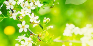 Beitragsbild des Blogbeitrags Endlich Frühling! Alles sprießt, nur nicht dein Haar? Die richtige Beratung hilft