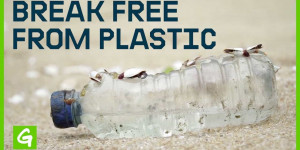 Beitragsbild des Blogbeitrags Wie Plastik-Verschmutzung eine Umwelt- und Gesundheitskrise verursacht | Greenpeace USA