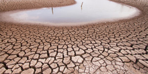 Beitragsbild des Blogbeitrags Historisch: Afrika macht gegen Klimawandel mobil