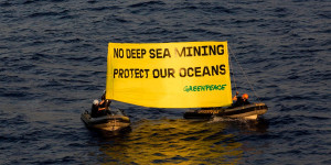 Beitragsbild des Blogbeitrags Die Tiefsee-Bergbauindustrie wurde zum ersten Mal von Greenpeace auf See konfrontiert
| Greenpeace int.