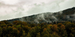 Beitragsbild des Blogbeitrags Klimastatusbericht 2020 bestätigt Erwärmung auf “drastische Weise”