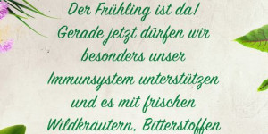 Beitragsbild des Blogbeitrags Weckt der Frühling auch neue Energie in dir? Unterstütze deinen Körper und dein …